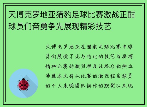 天博克罗地亚猎豹足球比赛激战正酣球员们奋勇争先展现精彩技艺