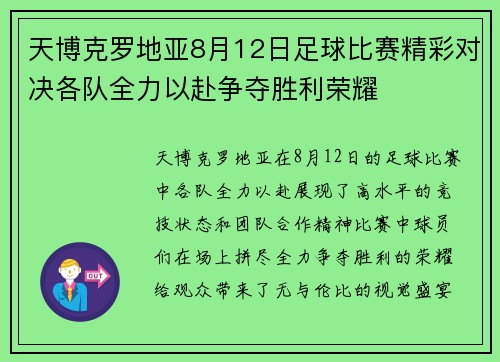 天博克罗地亚8月12日足球比赛精彩对决各队全力以赴争夺胜利荣耀